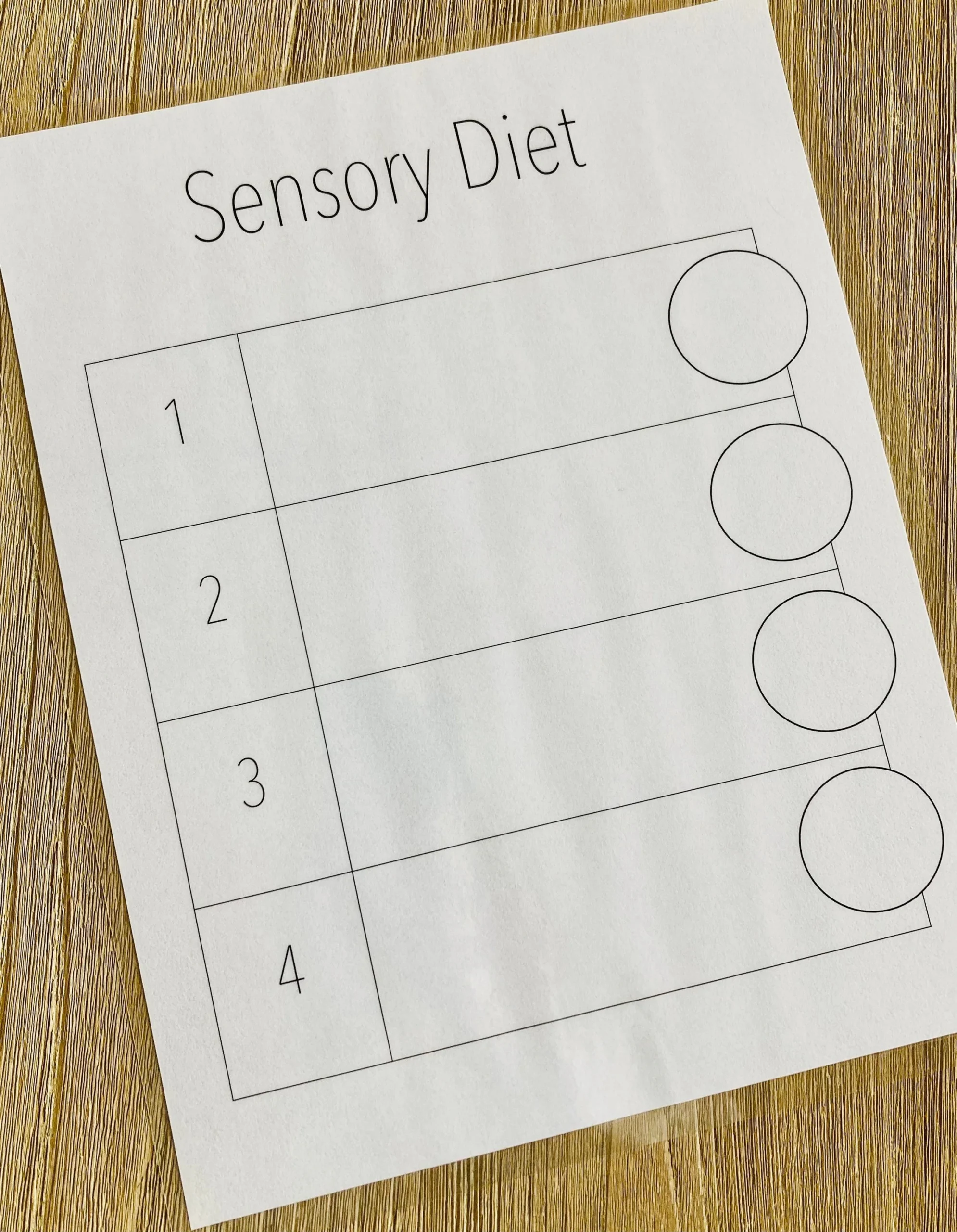 Printable Blank Sensory Diet Template