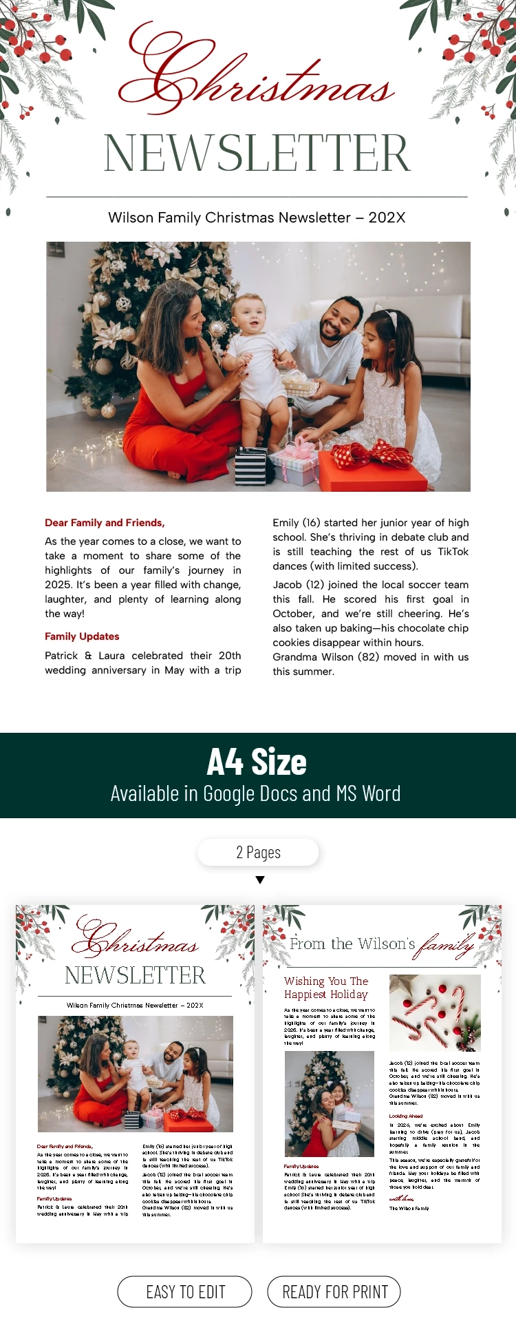 Free Family Christmas Newsletter Template Thegoodocs